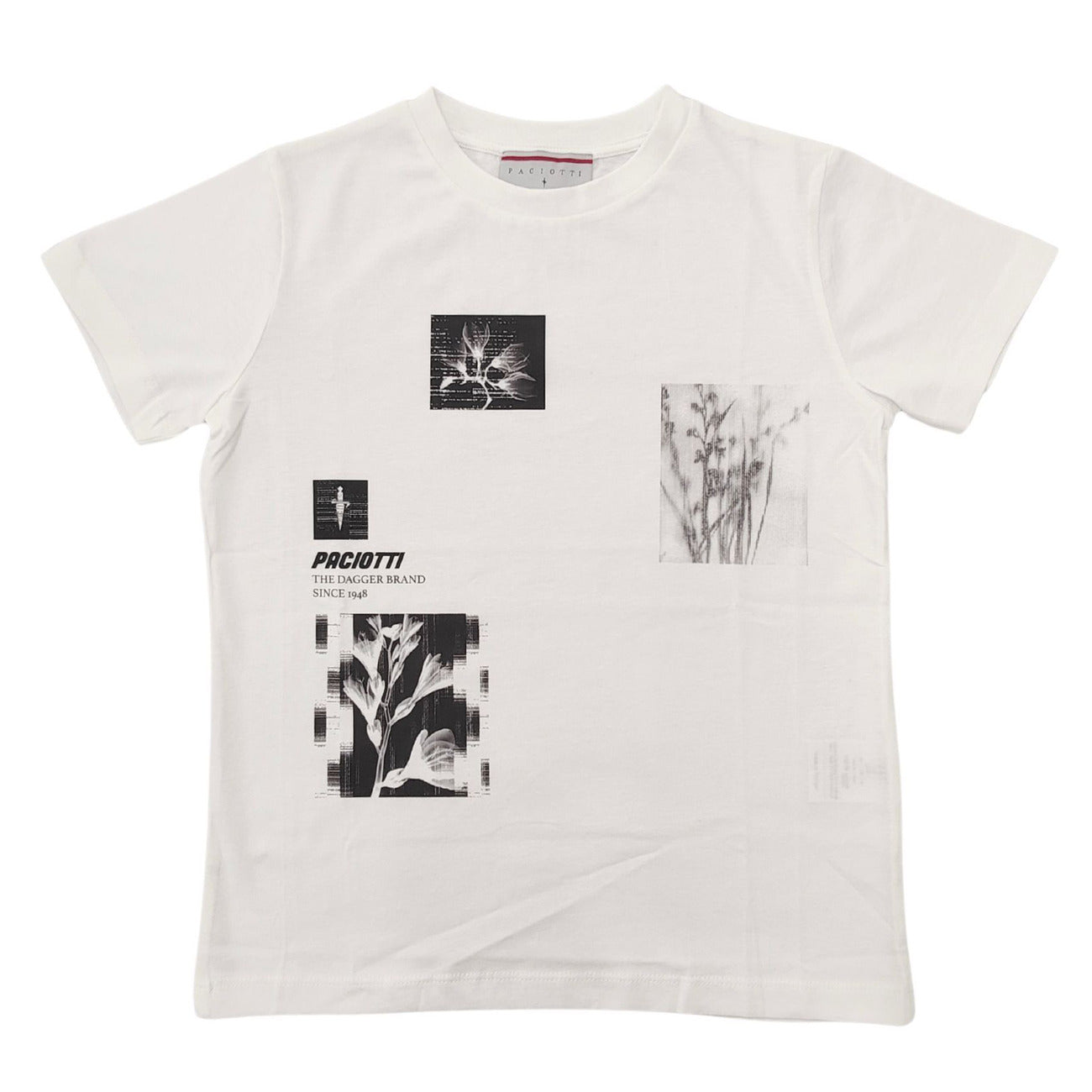paciotti - T-SHIRT M/M