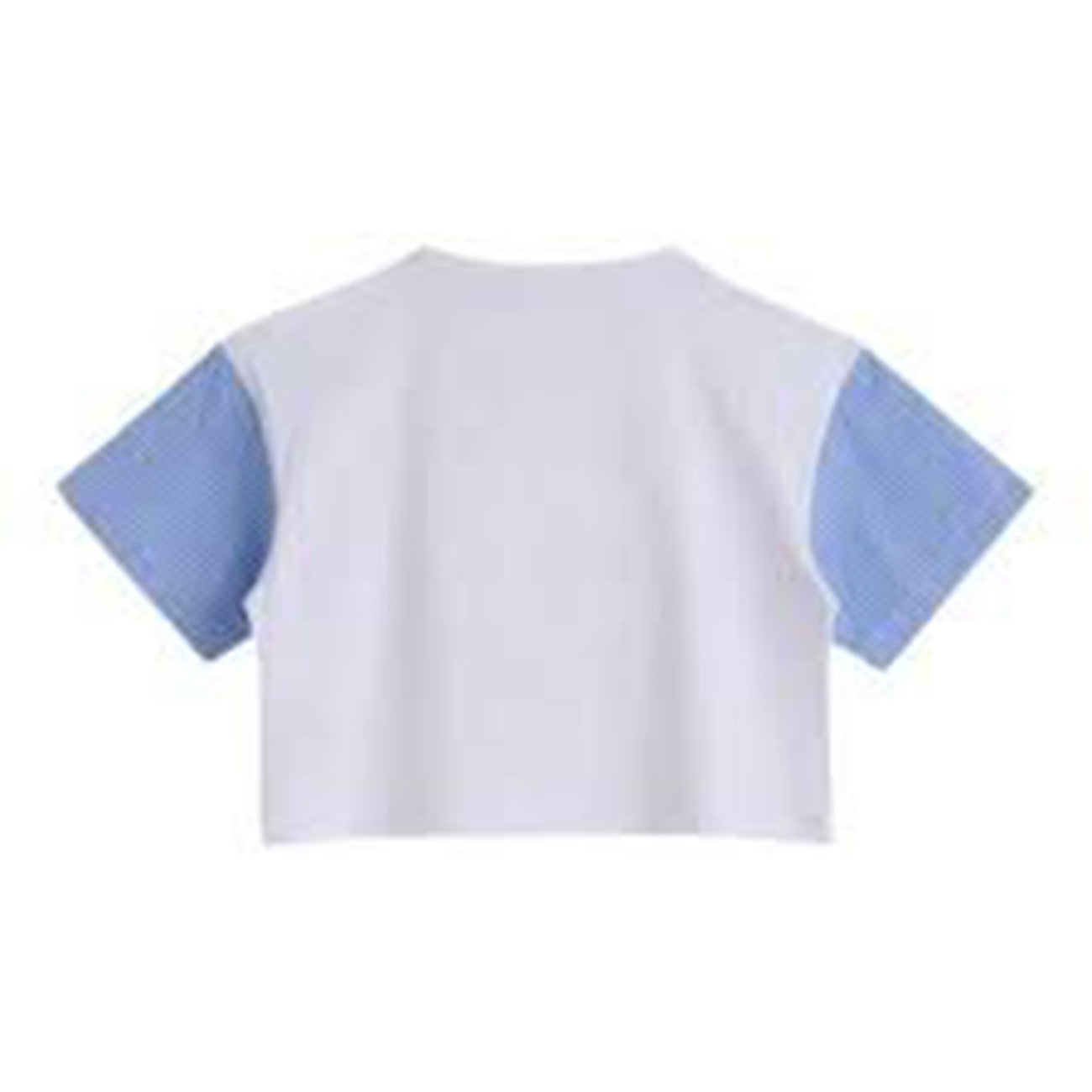 iceberg - t-shirt