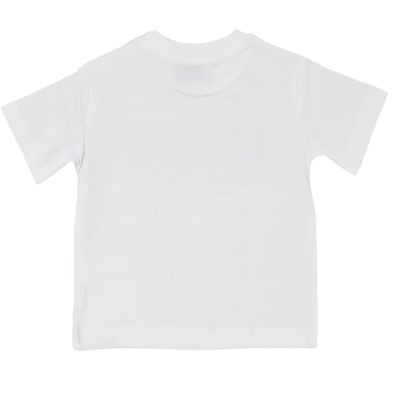 paciotti - T-SHIRT M/M