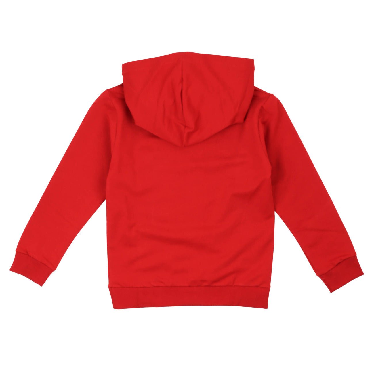 paciotti - FELPA CON CAPPUCCIO - Klotheds