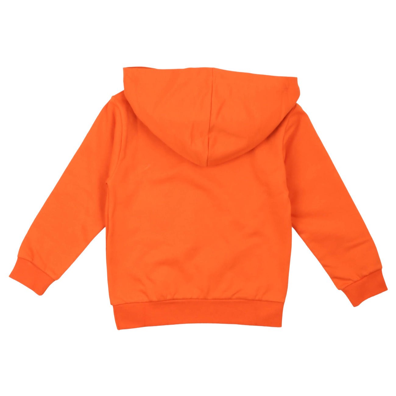 paciotti - FELPA CON CAPPUCCIO - Klotheds