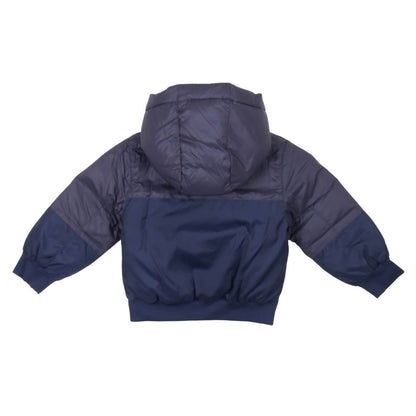 Paciotti - Giubbino Blu - Klotheds