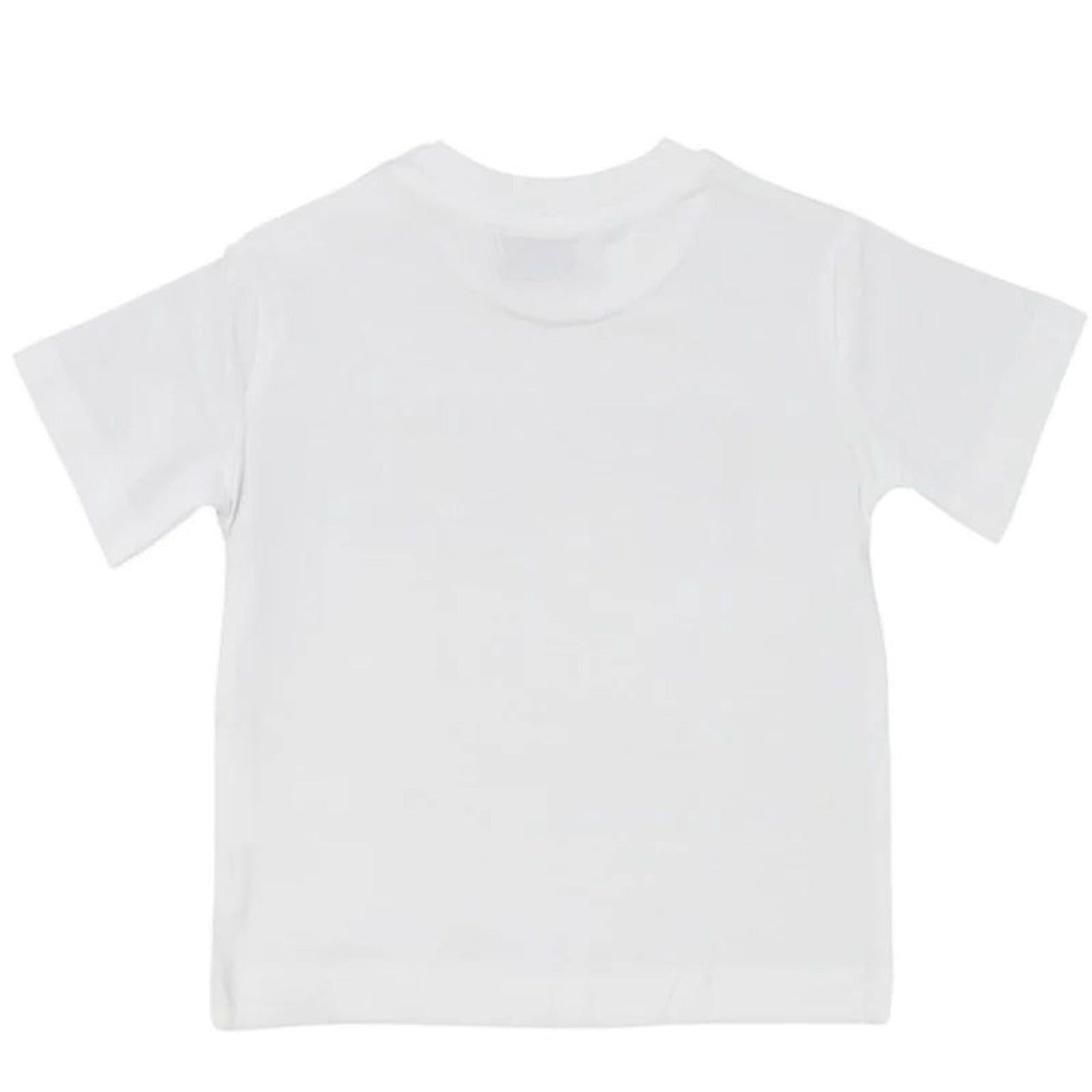 paciotti - T-SHIRT M/M
