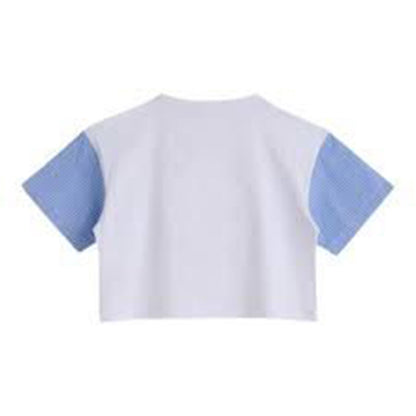 iceberg - t-shirt