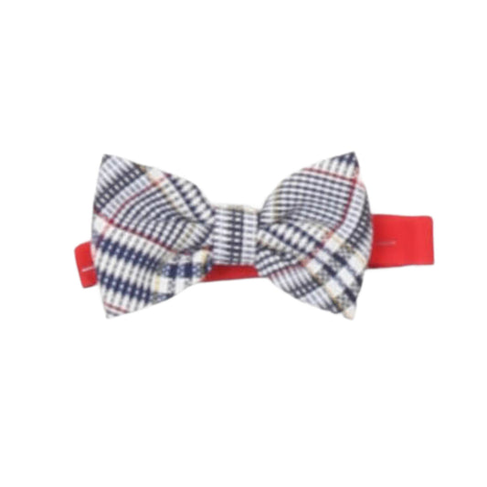 carlo pignatelli - PAPILLON