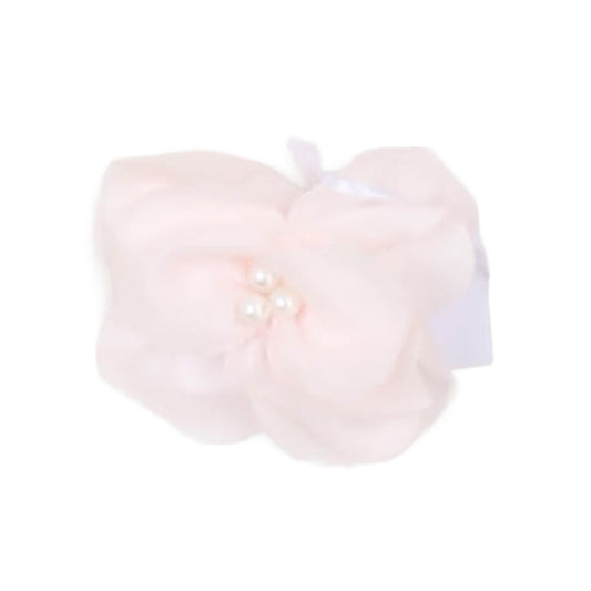 Carlo Pignatelli - Other Accessories