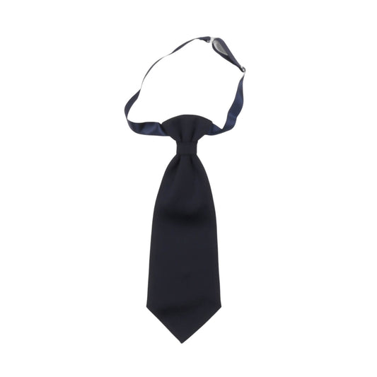 Carlo Pignatelli - TIES