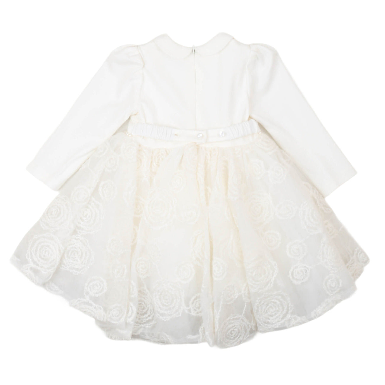 carlo pignatelli - ABITINO