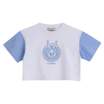 iceberg - t-shirt