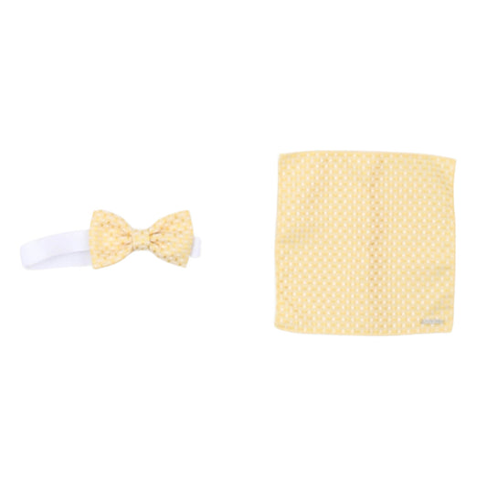 Carlo Pignatelli - BOW TIE + POCKET SQUARE