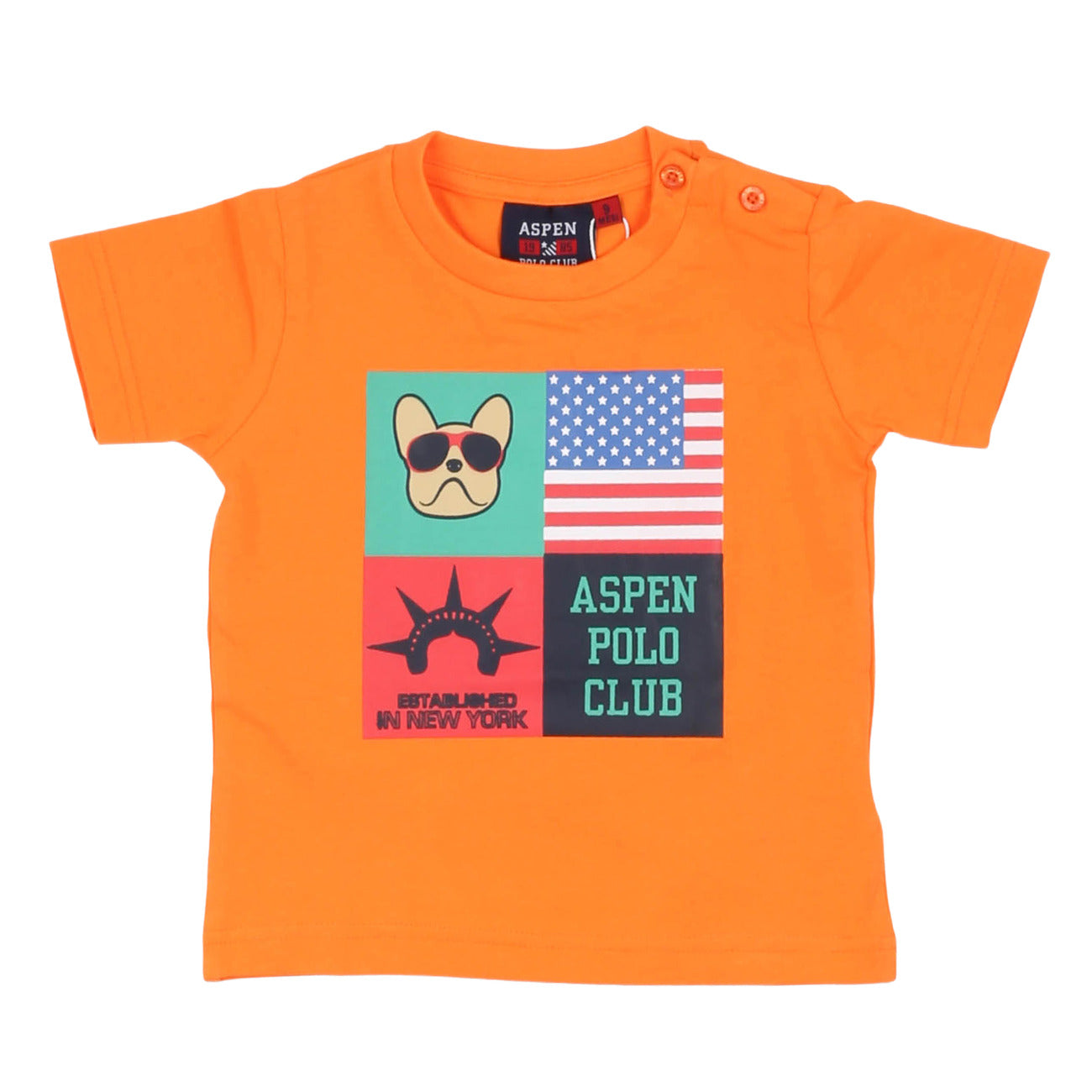 aspen polo club - T-shirt