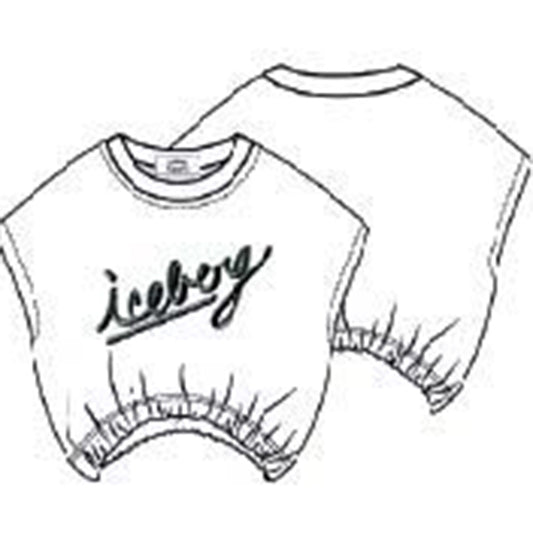 iceberg - t-shirt