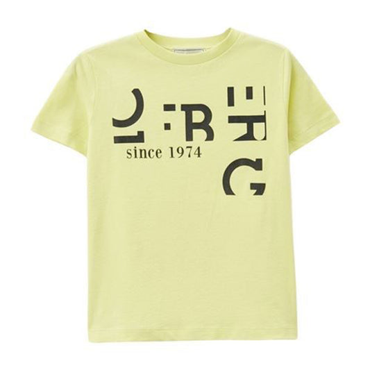 iceberg - t-shirt