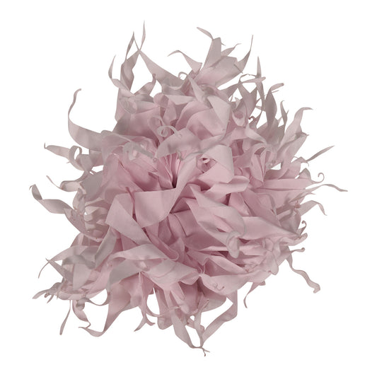fun & fun - FIORE SPILLA