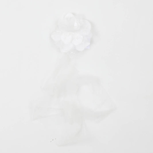 Carlo Pignatelli - FRONTINO