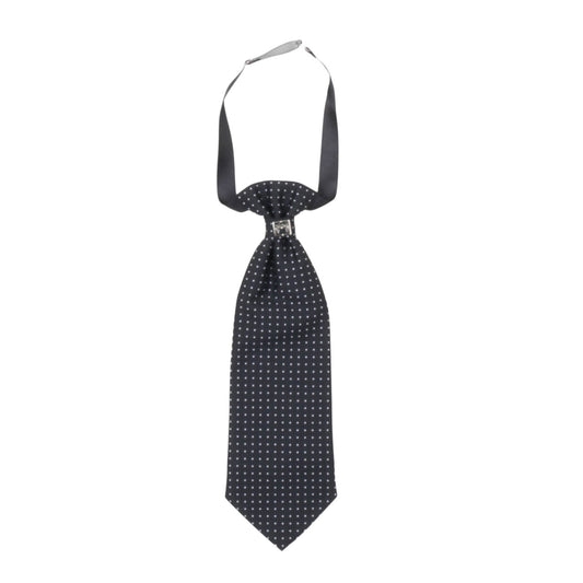 Carlo Pignatelli - TIES
