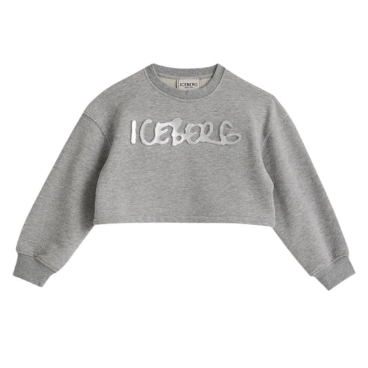 iceberg - felpe